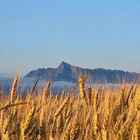 Kopihome Liptov Apartamento