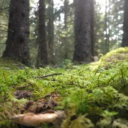 Kopihome Liptov Apartman *